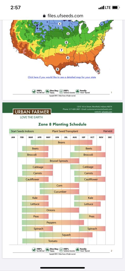 Vegetable Garden Apartment, Zone 9 Planting Schedule, When To Plant Garden, Zone 9 Gardening, Planting Schedule, When To Plant Vegetables, Winter Vegetables Gardening, Garden Apartment, When To Plant