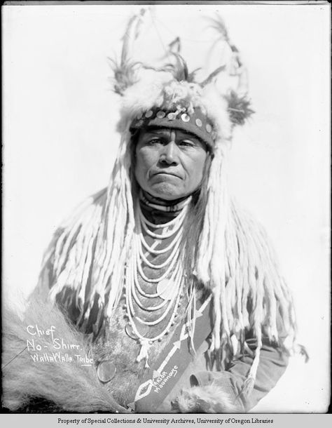 Chief No-Shirt Walla Walla Tribe   An outside photograph of a man identified as No Shirt dressed in his regalia. He is wearing a horned headdress with ermines, fur bandoleer, loop necklace, and a shirt. Writing on the photograph is "Chief No-Shirt Walla Walla Tribe Major Moorhouse" Sioux Indian, American Indian History, Native American Images, Native American Chief, Indian Pictures, Wilde Westen, Native American Pictures, Native American Photos, Native American Peoples