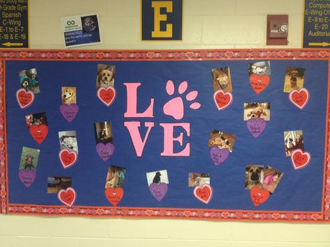 February Bulletin Board: Teachers' Pets Pet Study Bulletin Board, We Love Our Pets Bulletin Board, Pet Bulletin Board Ideas Preschool, Pet Bulletin Board Ideas For Work, Pet Theme Bulletin Board Ideas, Pets Bulletin Board Ideas, Pet Bulletin Board Ideas, Preschool Pet Week, Dog Bulletin Board