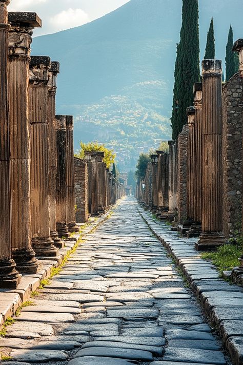 "Explore the ruins of Ephesus! 🏛️🌟 Walk through this ancient city in Turkey and uncover its historical and architectural marvels. ✨ #Ephesus #AncientHistory #TravelTurkey" Ephesus Ancient City, Mark Of The Lion, Ephesus Turkey, Ancient Civilisations, Eco Friendly Travel, Ancient City, The Ruins, Ancient Ruins, Ancient Civilizations