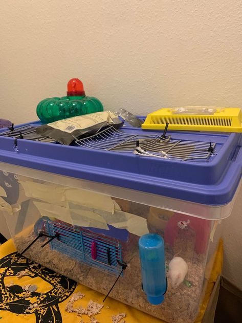 by yalls suggestion i made a bin cage for 1/2 mice. have a second one to make. fear not it has many many air holes #Mouse #Mice #rodent #pet Bin Cage, Pet Mice, Animal Room, Many Many, Rodents, Mice, Climbing, Pet