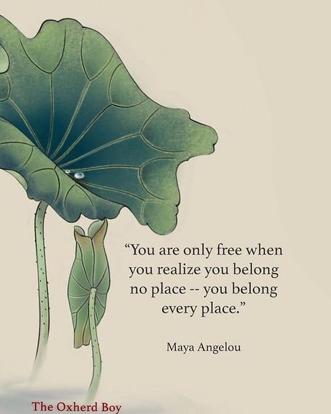 Poetry lovers - ❤️❤️ (Pinterest) Plant Quotes Life Inspiration Thoughts, Plant Quotes Life Inspiration, Plants Quotes Life Inspiration, Wild Woman Sisterhood, Plant Quotes, Maya Angelou Quote, Wild Women Sisterhood, Poetry Lovers, Maya Angelou Quotes