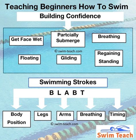 When teaching swimming lessons to beginners, a swimming teacher must follow some essential steps. Steps that, when followed, can almost guarantee progress and success. Teaching Swimming, Backstroke Swimming, Swimming Teacher, Swimming Lesson Plans, Breaststroke Swimming, Swimming Technique, Swimming Strokes, Swim Instructor, How To Swim