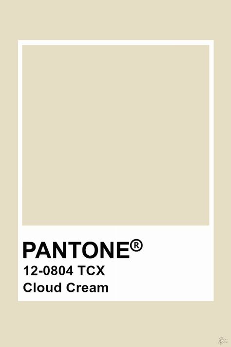 Pantone Cloud Cream Beige Pantone, White Pantone, Brown Pantone, Pantone Tcx, Pantone Swatches, Pantone 2020, Pantone Palette, White Asparagus, Pantone Colour Palettes