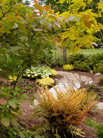 Autumn fern, hostas, rhododendrons, black mondo gras & Japanese forest grass. by Le jardinet Autumn Fern, Red Veil, Landscape Design Ideas, Japanese Forest, Acer Palmatum, Traditional Landscape, Woodland Garden, Hardy Perennials, Design Garden