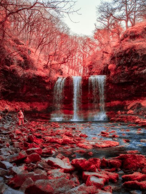 OLYMPUS DIGITAL CAMERA Light Red Aesthetic, Red Backgrounds, Red Landscape, Environment Photography, Red Forest, Infrared Photography, Autumn Scenes, Pretty Landscapes, Fantasy Places