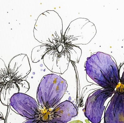 Karen Mitchell Burns on Instagram: "Violets to prepare for February. Did you know violets are the birth flower for February?  Violets symbolize modesty and humility." Mitchell Burns, Watercolor Violets, Flower For February, Bouquet Of Violets, January 26, Violet Flower, Birth Flower, Birth Flowers, Tri Color