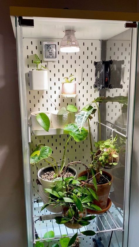 Detolf Greenhouse, Ikea Indoor Garden, Plants Ideas Indoor, Garden Ideas Indoor, Herb Garden Indoor, Garden Design Home, Indoor Gardening Ideas, Ikea Greenhouse, Ikea Detolf