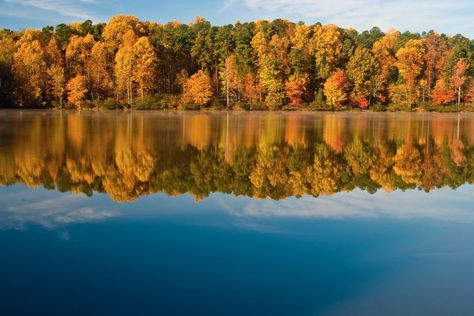 Places to Hike near Raleigh, NC to See Fall Leaves Autumn Lake, Big Lake, Leaf Peeping, Oak Forest, Autumn Foliage, Stone Path, Beautiful Autumn, Blue Ridge Mountains, Raleigh Nc