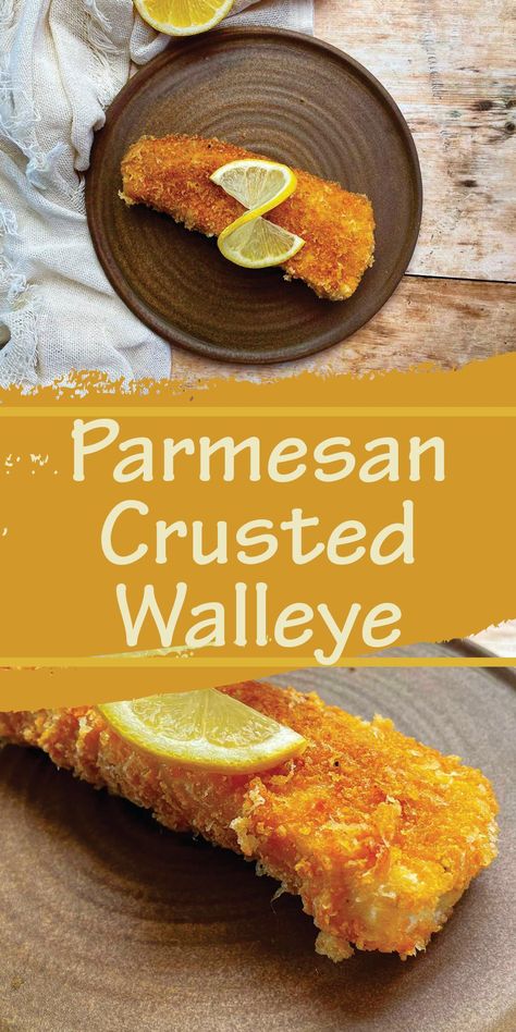 Parmesan Crusted Walleye, Pan Fried Walleye Recipes, Pecan Crusted Walleye, How To Cook Walleye Fish, Best Walleye Recipes, Baked Walleye Recipes, Walleye Fish Recipes, Frozen Fish Fillets, Beer Battered Fish Tacos