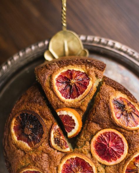 Teff Blood Orange Olive Oil Cake | The Teff Company - Over 30 Years of American-Grown Maskal Teff Orange Olive Oil Cake Recipe, Blood Orange Olive Oil Cake, Oil Cake Recipe, Orange Olive Oil Cake, Orange Olive Oil, Olive Oil Cake Recipe, Teff Flour, Blood Orange Juice, Oil Cake