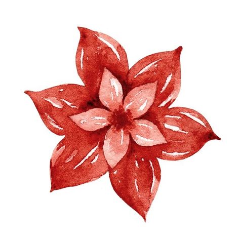 Poinsettia Drawing Simple, Hand Painted Bauble, Poinsettia Flower, Holiday Wallpaper, Dinner Themes, Christmas Clipart, Christmas Watercolor, Lotus Flower Tattoo, Pink Christmas