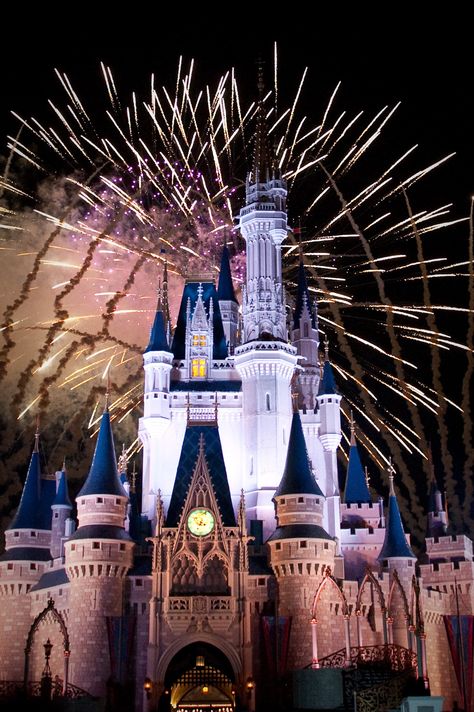 Disney Watch Fireworks, 4th Of July Wallpaper, Disney Word, Cinderella's Castle, Happy Birthday America, Cinderella Castle, Disney Castle, Cruise Ships, Disney World Resorts