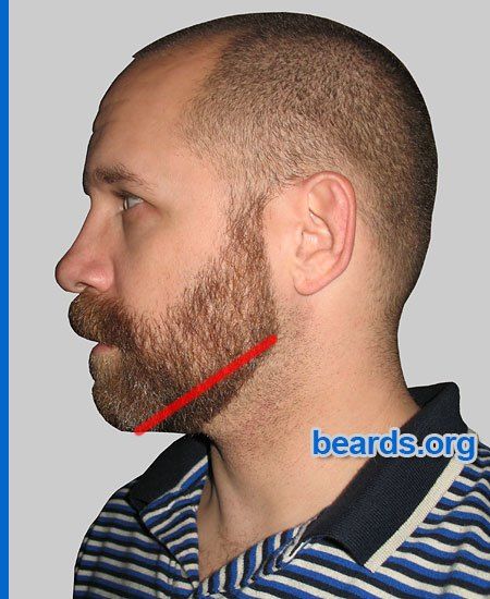 avoid a too-high neck line Beard Neckline, Beard Line, Beard Maintenance, Beard Designs, Beard Tips, Beard Shapes, Mens Facial, Grey Hair Men, Bald With Beard