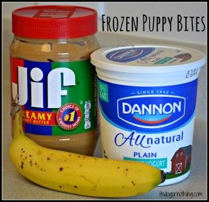 Frozen Puppy Bites - It's Dog or Nothing Dog Treats Homemade Peanut Butter, Bananas For Dogs, Yogurt For Dogs, Banana Frozen Yogurt, Yogurt Treats, Frozen Dog Treats Homemade, Dogs Recipes, Yogurt Drops, Greek Yogurt And Peanut Butter