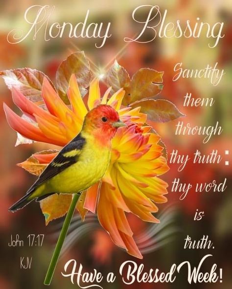 Sunday Bible Verse, Have A Blessed Monday, Servants Heart, Weekly Blessings, Monday Morning Blessing, Have A Blessed Week, Blessed Week, Good Morning Happy Monday, Monday Blessings