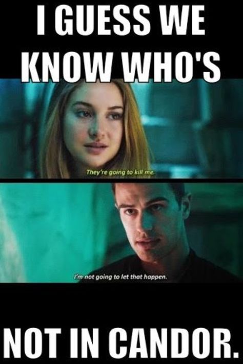 Divergent | Candor Divergent Jokes, Divergent Memes, Divergent Book, Divergent Hunger Games, Tris And Four, Divergent Fandom, Divergent Quotes, Divergent Funny, Divergent Trilogy