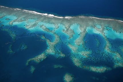 Fringe Reef Wake Island, Earth From Above, Propeller Plane, Coral Bleaching, Norfolk Island, Cute Animals To Draw, Mariana Islands, West Papua, Underwater Animals