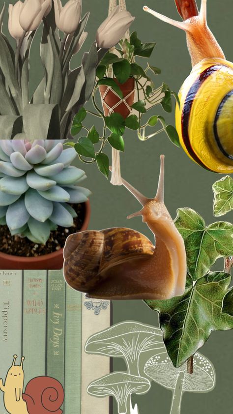 Snails and plants Snail Aesthetic, Snail Wallpaper, Book Wallpaper, Hamsters, Wallpaper Iphone Cute, Iphone Background, Connect With People, Your Aesthetic, Creative Energy