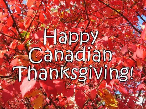 JL - Stories From Jo Lee To You.. joleemagazine.com
On this Canadian Thanksgiving!

Let our lives be full of both thanks and giving as we give thanks
for unknown blessings, already on their way.  My Love..

#moviegoers #publishing #adagencies #wealtmanagement #exeutiveleaders #love #travel #art #canada #usa #world #relationships Thanksgiving Wild Rice, Happy Canadian Thanksgiving, Canadian Garden, Happy Thanksgiving Canada, Thanksgiving Canada, Seasons Name, History Wallpaper, Garden To Table, Stuffed Squash