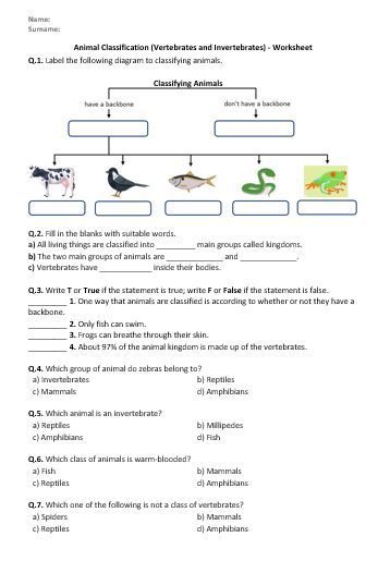 Animal Classification Worksheet Pdf Questions About Animals, Vertebrates And Invertebrates Activities, Vertebrates Worksheets, Invertebrates Classification, Vertebrates And Invertebrates Worksheets, Invertebrates Worksheet, Vertebrates Animals, Animal Kingdom Classification, Animal Classification Worksheet