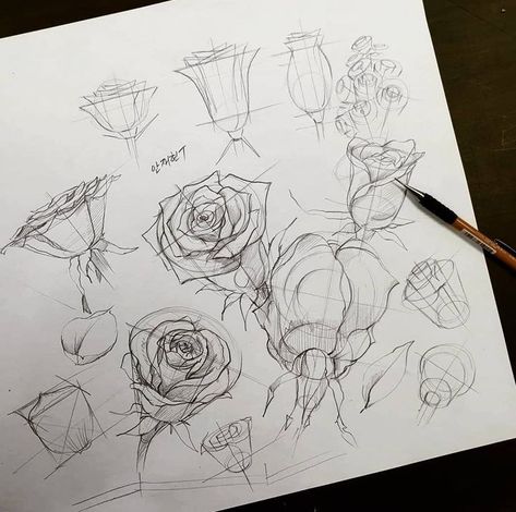 Mundane Art, Drawing Proportions, Basic Sketching, 심플한 그림, Ancient Drawings, Architecture Drawing Sketchbooks, Perspective Drawing Lessons, Flower Drawing Tutorials, Perspective Art