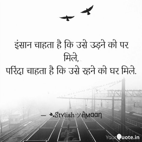 Birds Quote  #birds #quote #follow #birdsquotes #shayari #king #top #birdshayari #man Art Designs, Best Quotes, Art Design, Birds, Quotes, Movie Posters, Quick Saves, Art, Film Posters