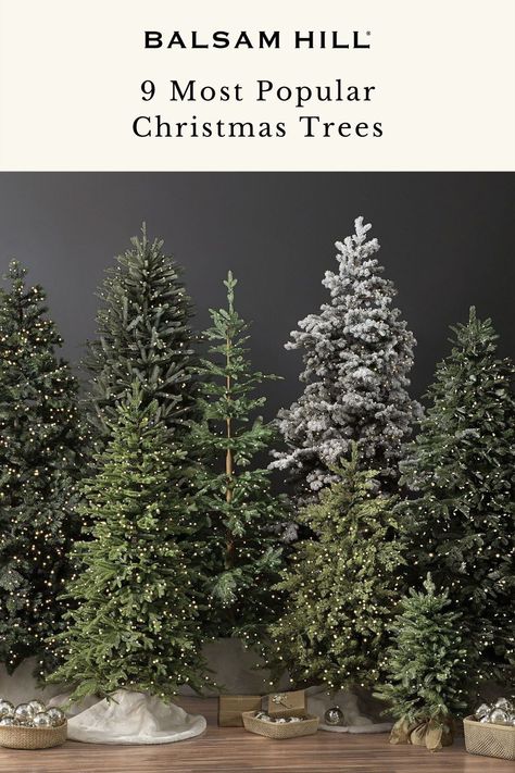 When choosing a live Christmas tree, some of the most important things to consider are its shape, color, sturdiness, and needle retention. To help you decide, we've rounded up the most popular Christmas tree species and their Balsam Hill tree counterparts. Read more on our blog. Christmas Tree 5 Ft, Balsam Hill Tree, Douglas Fir Christmas Tree, Balsam Hill Trees, Balsam Fir Christmas Tree, Noble Fir Christmas Tree, Fraser Fir Christmas Tree, Balsam Hill Christmas Tree, Best Artificial Christmas Trees