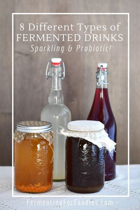 Fermented Soda Recipes, Fermented Soda, Bog Witch, Low Sugar Drinks, Fermented Drinks, Kombucha Flavors, Spicy Drinks, Homemade Kombucha, Ayurveda Recipes