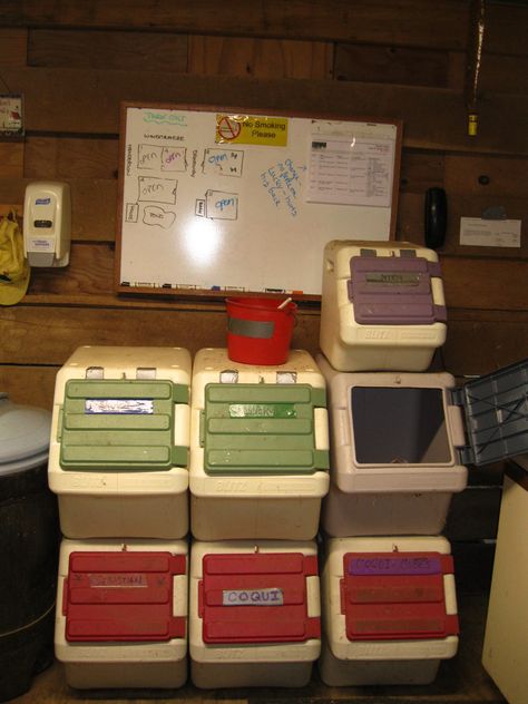 Love this! This is how my feed room is organized. Whole 50lbs bags of grain fit in there, it doesn't seem like it, but they do! Feed Room Ideas, Horse Feed Storage, Horse Feed Room, Tack Room Organization, Feed Room, Horse Tack Rooms, Pallet Barn, Barn Hacks, Horse Barn Ideas Stables