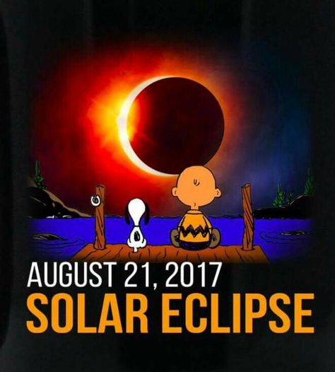 Snoopy Stuff, Solar Eclipse 2017, Sally Brown, Peanuts Snoopy Woodstock, Snoopy Images, Peanuts Cartoon, Up To The Sky, Snoopy Quotes, Snoop Dog