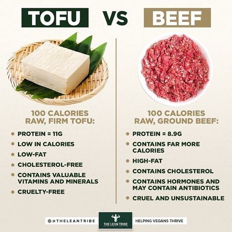 Follow @rethinkmindfullness for more! 💚🌱 Tofu vs beef by ▫⁠⁠⁠@theleantribe Follow 👉🏽 @rethinkmindfullness 👈🏾🌱⁠⁠ ▫⁠⁠ Follow 👉🏽 @rethinkmindfullness 👈🏾🌱⁠⁠ Together we can change how ONE BILLION PEOPLE see Food and Exercise. Join us today to start educating the world about the benefits of plant-based food & exercise.⁠⁠ ▫⁠⁠ Tag a friend. Sharing is caring 🙋🏽‍♂️⁠⁠ ▫⁠⁠ Save for later 📲⁠⁠ ▫⁠⁠ Turn on post notification🔔⁣⁠⁠ Follow 👉🏽 @rethinkmindfullness 👈🏾🌱 Benefits Of Tofu, Benefits Of Plant Based Diet, Tofu Benefits Health, Tofu Calories, Tofu Benefits, Plant Based Aesthetic, Benefits Of Going Vegan, Vegan Benefits, See Food