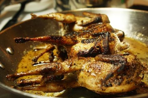 Seared Quail with Marsala Sauce. Yummy. A great quail recipe that is easy to prepare for a gourmet dinner. Quail Dinner, Quail Raising, Wild Cooking, Roasted Quail, Quail Recipes, Marsala Sauce, Gourmet Catering, Paleo Chicken Recipes, Quails