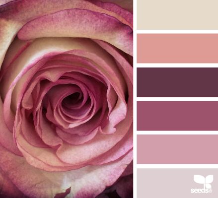 Paletas de cores/penteados /maquiagem Rose Soft, Natural Picture, Color Palate, Design Seeds, Color Balance, World Of Color, Colour Schemes, Color Pallets, Color Swatches