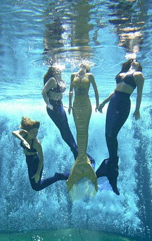 Weeki Wachee Mermaids, Mermaids Swimming, Weeki Wachee, Art Vampire, Dengeki Daisy, Fantasy Mermaids, Real Mermaids, Mermaid Dreams, Samurai Tattoo