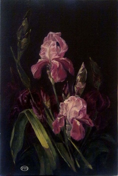 Black Iris Aesthetic, Iris Flower Aesthetic, Iris Flowers Aesthetic, Iris Core, Dark Floral Painting, Iris Aesthetic, Spotify Theme, Watercolor Irises, Embroidery Samplers