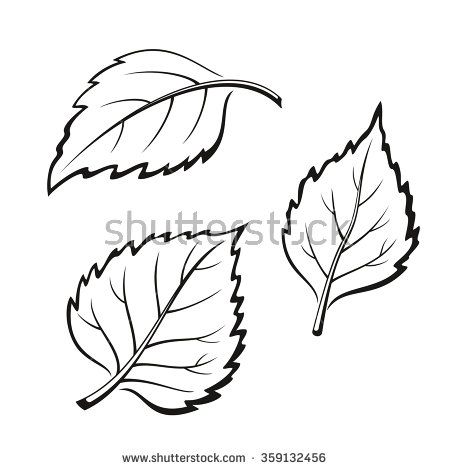 birch tree leaves Birch Tree Leaf Drawing, Birch Leaves Drawing, Birch Leaf Tattoo, Birch Wedding Cakes, Birch Tree Leaves, Birch Wedding, White Birch Trees, Leaf Outline, Birch Leaf