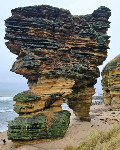 Some sights in Moray Speyside need to be seen to be believed 🤩 #EscapeYourEveryday Hands up 🙌 if you have been able to see this magnificent location up close and in person... This is Gow's Castle Stack which is located just west of Covesea Lighthouse. If you do visit be sure to check tide times! 🌊 📌 - Moray Firth, Moray Speyside 📷 - @bike_scotland #seastacks #moraycoast #morayspeyside #scotland #moray #speyside #hiddenscotland #visitscotland #morayfirth #visitmorayspeyside #coast #scotti... Speyside Scotland, Moray Scotland, Visit Scotland, Need This, Lighthouse, Wales, Scotland, Bucket List, Castle