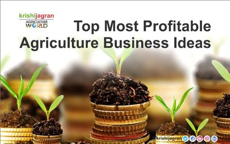 Farming Business Ideas, Agriculture Business Ideas, Agriculture Business Plan, Business Ideas Philippines, Farming For Profit, Farm Crops, Medicine Plants, Agriculture Design, Shrimp Farming