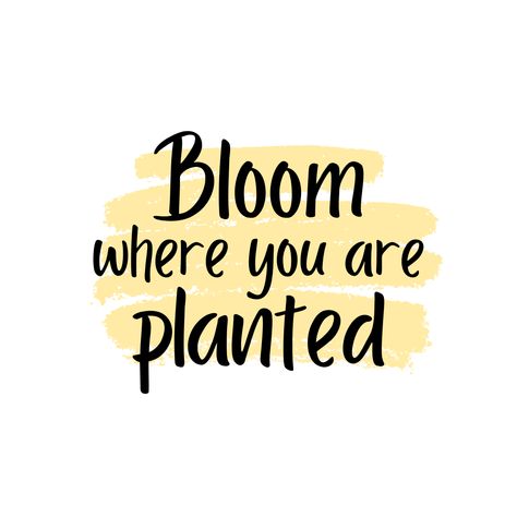 Life doesn't always go the way we plan. 2020 made that clear! Instead of grieving ruined plans, make the best of your situation and bloom where you are planted. #bloomwhereyouareplanted #wednesdaywisdom #inspiringquotes Pretty Qoutes, Plants Quotes, Bloom Where You Are Planted, Wednesday Wisdom, The Way, Sweet Home, Inspirational Quotes, How To Plan, Quotes