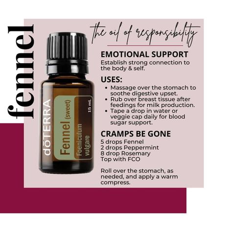 Fennel Oil, Fennel Essential Oil, Warm Compress, Milk Production, Essential Oil Benefits, Oil Benefits, Oil Uses, Essential Oil Uses, Healthy Digestion