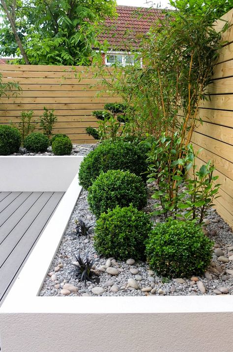 Small, low maintenance garden: minimalistic Garden by J B Landscapes LTD Minimalist Garden, Low Maintenance Landscaping, Garden Shrubs, Garden Types, Landscape Designs, Low Maintenance Garden, Have Inspiration, Outdoor Gardens Design, Backyard Fences