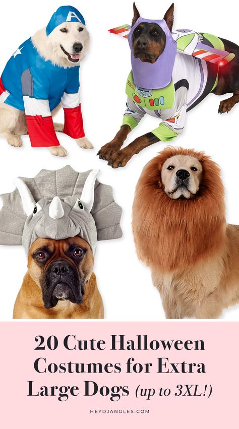 20+ Cute Halloween Costumes for Extra Large Dogs (up to 3XL!) - Hey, Djangles. Xxl Dog Costumes, Diy Large Dog Costumes, Large Dog Costume Ideas, Big Dog Costumes Halloween, Costumes For Big Dogs, Dog Costume Pattern, Super Cute Halloween Costumes, Large Dog Halloween Costumes, Big Dog Halloween Costumes