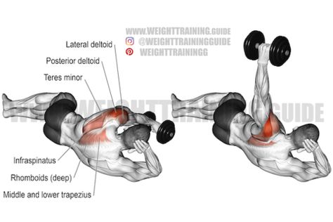 24 Rhomboid Exercises with Barbells, Dumbbells, Cables, Bands, etc. - SET FOR SET Rhomboid Exercises, Deltoid Workout, Dumbbell Fly, Best Shoulder Workout, Good Back Workouts, Rear Delt, Weight Training Workouts, Dumbbell Workout, Gym Workout Tips