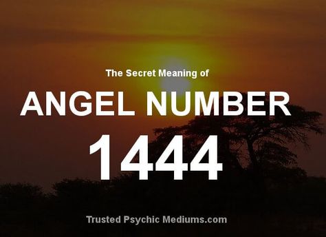 Angel number 1444 signals a huge change in your love life. Find out what... 1808 Angel Number, 1144 Angel Number, 44 Meaning, Sacred Numbers, What Is Birthday, Free Daily Horoscopes, Angel Signs, Angel Number Meanings, Angel Guidance