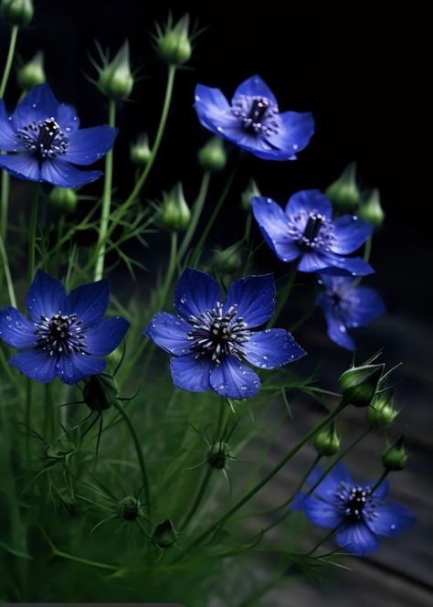 Starry Night Flowers, Night Shade Flower, Hallway Mural, Downstairs Hallway, Mural Flowers, Plant Night, City Concept, Witchy Garden, Snapdragon Flowers