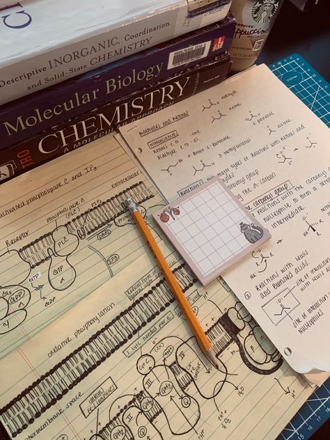 I have a passion for creating educational infographics to help students studying chemistry, biology, biochemistry, microbiology, chemical biology, organic chemistry, and other science based classes in college and high school throughout the fall and spring semesters. I truly hope these graphics help with your continued studies in medical school #science #chemistry #biology #notetaking #notetakingtips #handwrittennotes #notetaking #notes #medicalnotes #nursingnotes #sciencenotes Science College Aesthetic, Biology And Chemistry Aesthetic, Chemistry Aethstetic, Lessons In Chemistry Aesthetic Book, Chemistry Astethic, Biochemistry Aesthetic Notes, High School Science Teacher Aesthetic, Aesthetic Biochemistry, Chemistry A Level Aesthetic