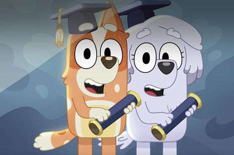 The Best 'Bluey' Episodes To Help Celebrate Your Kid's Graduation — Romper Graduation Romper, Kids Graduation, Milestones, Rompers, Tv Shows, Parenting, Tv, Celebrities, Quick Saves