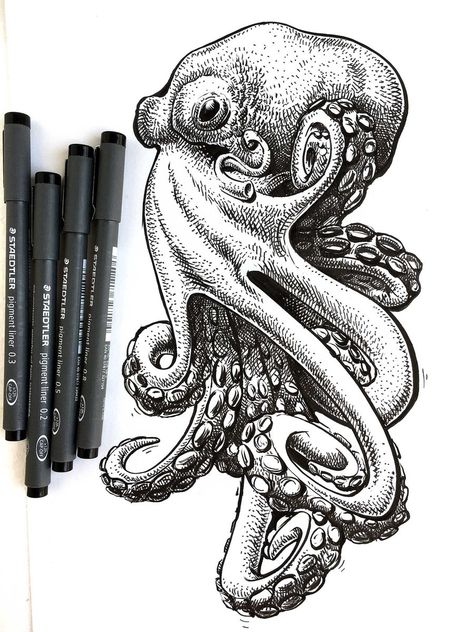 Octopus Art Drawing, Octopus Sketch, Biro Drawing, Octopus Drawing, Pen And Ink Drawings, Octopus Tattoo Design, Octopus Tattoos, Octopus Tattoo, Octopus Art