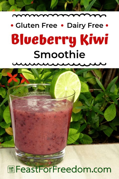 Blueberry Kiwi Smoothie - Feast for Freedom - A light and refreshing blueberry and kiwi smoothie that's not too filling. This clean eating recipe makes a wonderful alternative drink to soda pop. #cleaneating #smoothies #kiwi #blueberries #recipes Gluten Free Smoothie Recipes, Blueberries Recipes, Gluten Free Smoothie, Kiwi Recipes, Green Juice Smoothie, Free Smoothie Recipes, Blueberry Smoothie Recipe, Recipes Smoothies, Dairy Free Smoothies